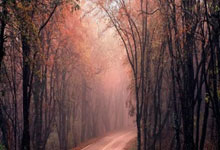 竞技宝：米体：门德斯告诉尤文，切尔西、利物浦和曼联有意伊尔迪兹.