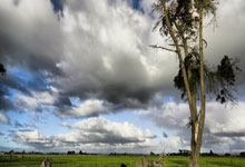 竞技宝：米体：门德斯告诉尤文，切尔西、利物浦和曼联有意伊尔迪兹.