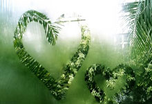 [CBA]惹不起的“辽三疯” 辽宁胜广东.