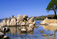 没错！留给国足的时间真不多了澎湃新闻.